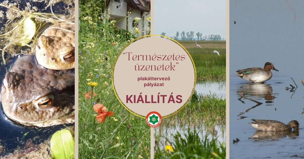 természetes üzenetek2_261007154710.jpg